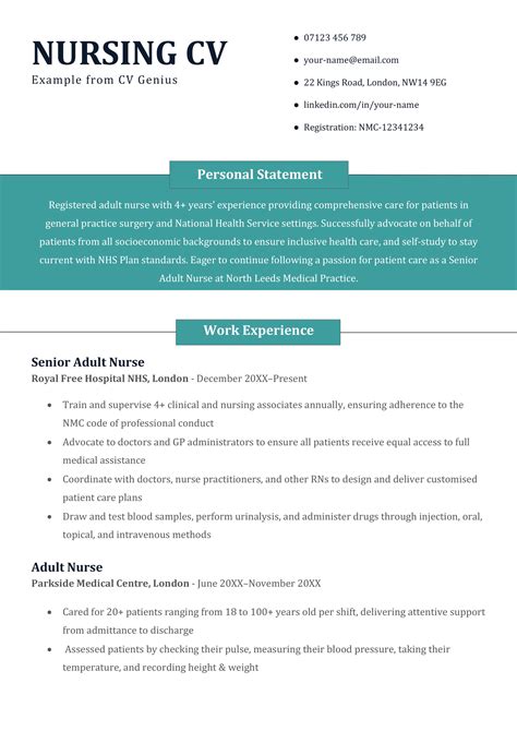 Nursing Cv Examples And Writing Guide For 2024