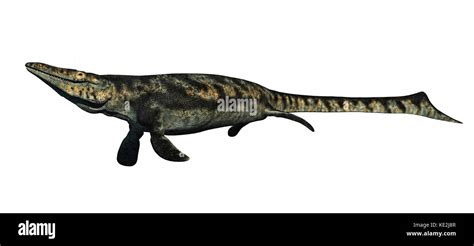 Tylosaurus Aquatische Reptil Aus Der Kreidezeit Stockfotografie Alamy
