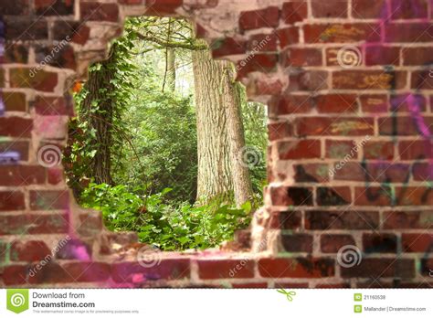 Forest View Through A Hole In The Wall Stock Photo Image Of Forest