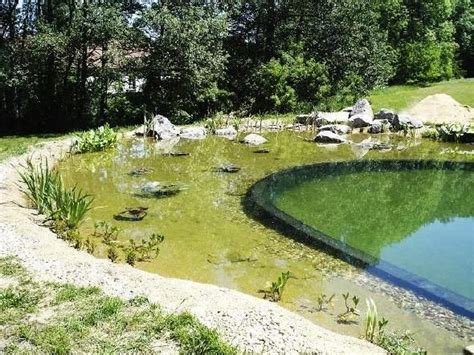 How Much May A Swimming Pond Cost Natural Naturalswimming Saltwaterpool Water Ingroundpool