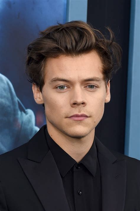 How Harry Styles's Iconic Hair Has Evolved Over the Years | Honk Magazine