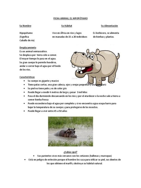 Disertación Hipopótamo Primero Básicopdf