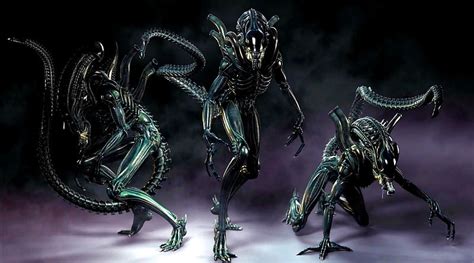 1920x1080px 1080p Free Download Xenomorphs Killer Xenomorph