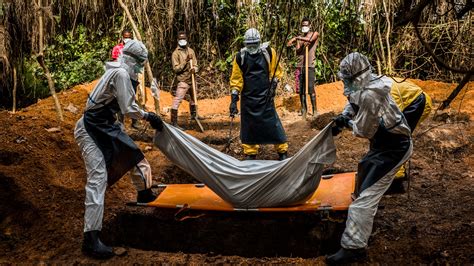Ebola Evolved Into Deadlier Enemy During The African Epidemic The New York Times