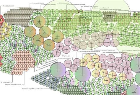 Garden Design Specifications And Plans Rumbold Ayers Planting Plan