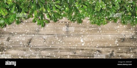 Christmas Header Background Pine Tree Branches Wooden Texture Stock