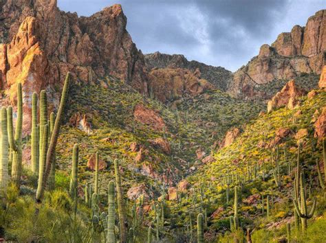 What This Drone Footage Caught In Arizona Will Drop Your Jaw Scenic