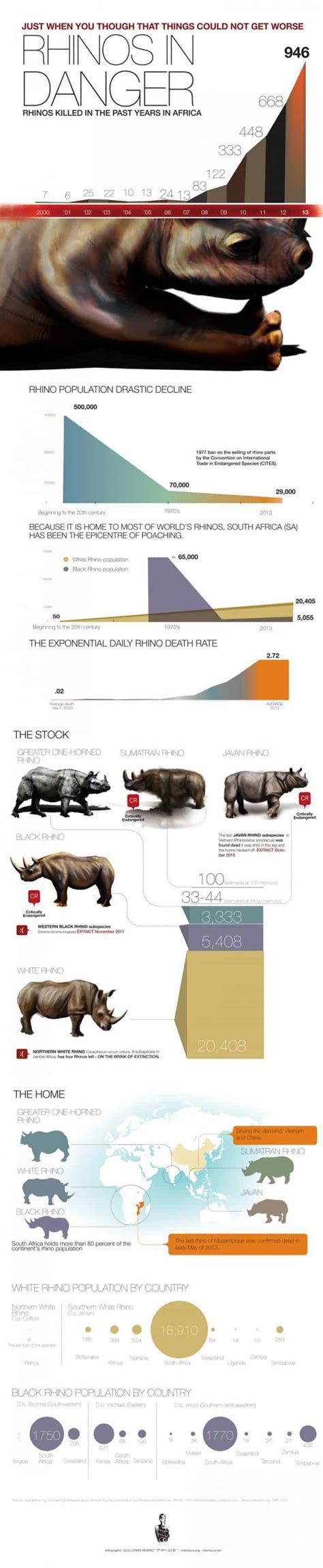 Rhinos In Danger Daily Infographic