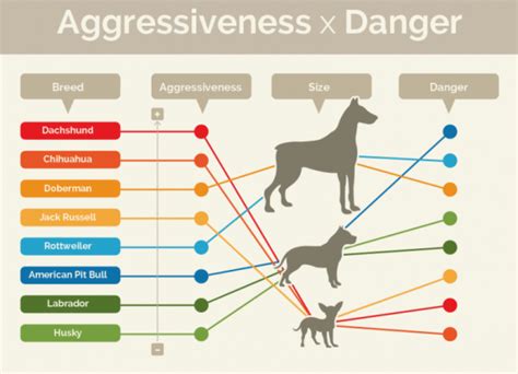 Most Aggressive Dogs By Breeds Pet Care Stores