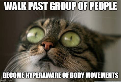 Anxiety Cat Meme Generator