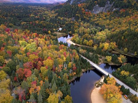 Breathtaking Autumn Scenery Of Colorful Forest With Bridges Forming