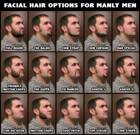 My Guide To Beardedness Types Of Facial Hair Mens Facial Hair Styles