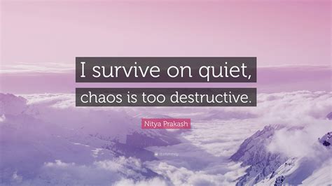 Nitya Prakash Quote “i Survive On Quiet Chaos Is Too Destructive”