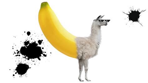 Llama Or Banana Quiz Llama Quiz On