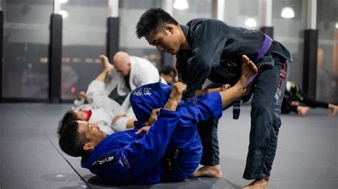 How Is Brazilian Jiu Jitsu Training Helpful For You Guide 2024