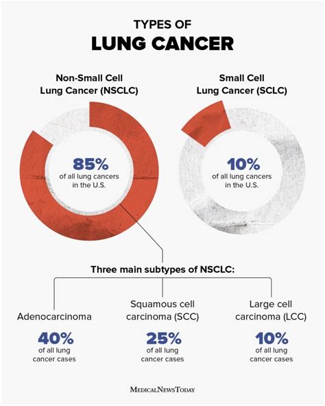 Non Small Cell Lung Cancer Prevalence Risks And Survival Rate