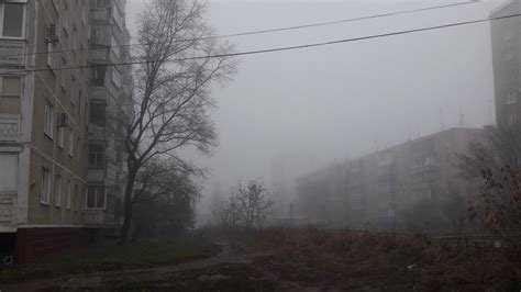 Wallpaper Nature Forest Trees Mist Russia City Faded House