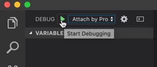 How to debug a Node.JS REST API in Visual Studio Code locally | SAP Blogs