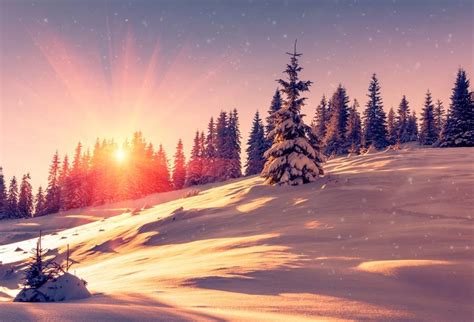 Laeacco Winter Snow Forest Landscape Photography Backdrops