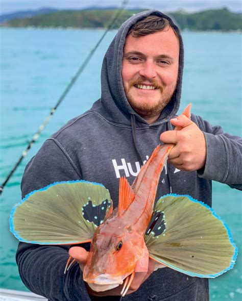 How To Catch Gurnard The Fishing Website