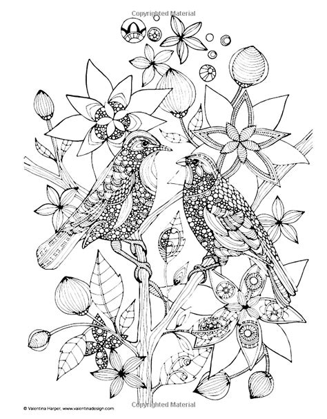 Two Birds Birds Adult Coloring Pages