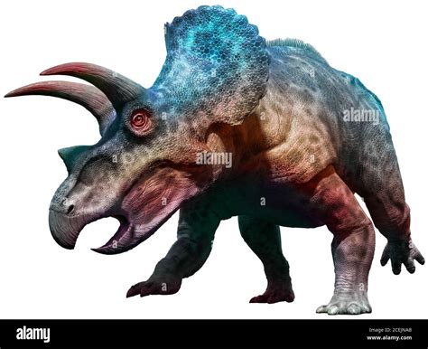Triceratops Dinosaur Charging 3d Illustration Stock Photo Alamy