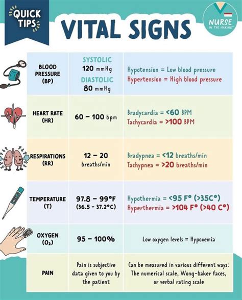 The Vital Signs Of The Human Body What They Mean And Why You Should Know