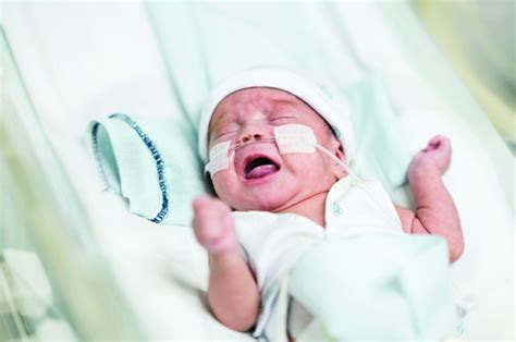Preterm Infant Ger Is A Normal Phenomenon Gi And Hepatology News