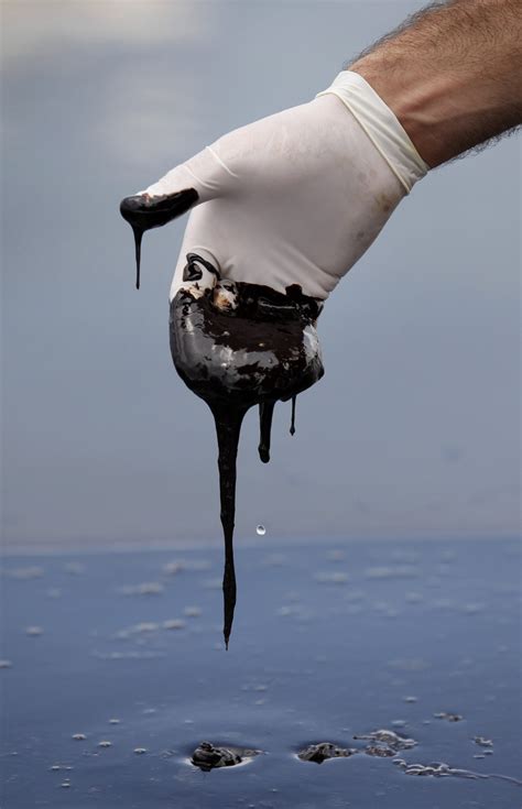 Millions Of Gallons Of Bp Oil Found Resting On The Gulf Floor Salon Com