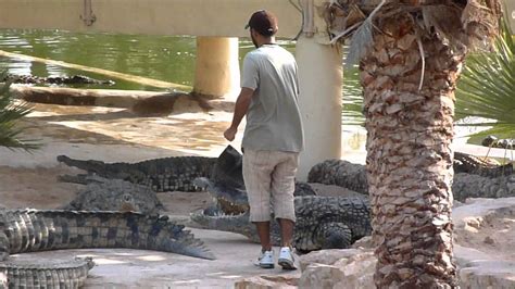 Zajistěte si dovolenou u moře, v exotice na poslední chvíli s pěknou slevou u ck fischer. Tunisko - Djerba - Krokodýlí farma - YouTube