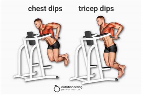 How To Do Chest Dips Vs Tricep Dips For Upper Body Gains