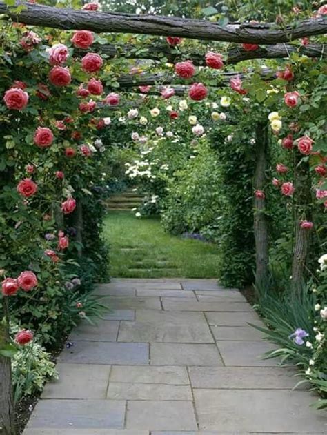 Rosas Trepadeiras Paisagismo Belos Jardins E Jardinagem
