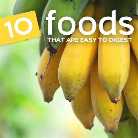 10 Easily Digestible Foods 5 Difficult Ones Healthwholeness