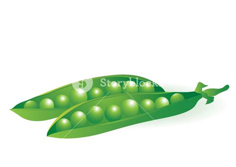 Free Free 151 Sweet Pea Svg SVG PNG EPS DXF File