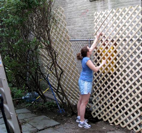 15 Beautiful Privacy Fence Ideas For Your Garden Chain Link Fence
