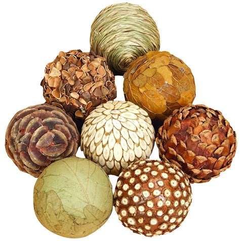 Decmode Eclectic 3 Inch Dried Decorative Sola Balls Set Of 8