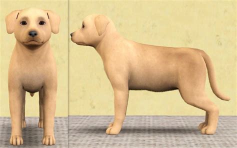 Mod The Sims Miniature Breeds Part Four