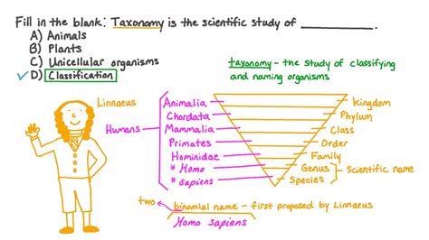 Taxonomy Classification For Humans