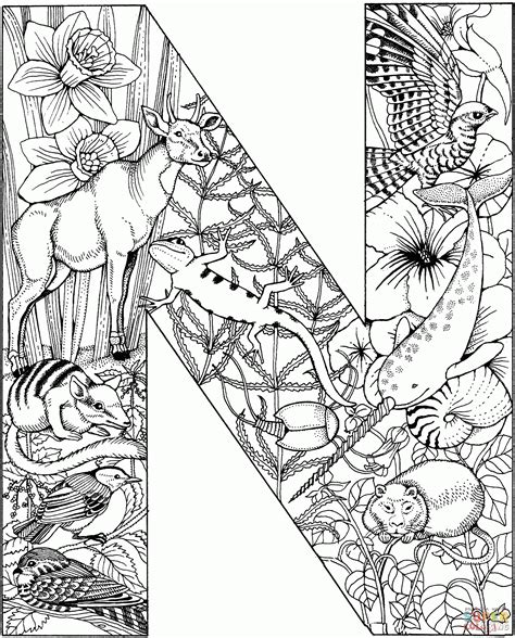 Letter N Coloring Pages Preschool  Coloring Home