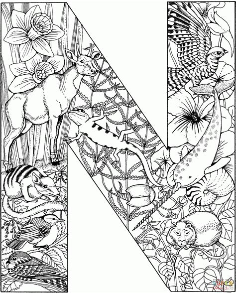 Enjoy these free printable alphabet materials for the letter z: Letter N Coloring Pages Preschool - Coloring Home