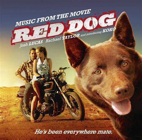 A very special dog changes the life of an elven year old boy forever. Red Dog: Music From The Movie Soundtrack, CD | Sanity