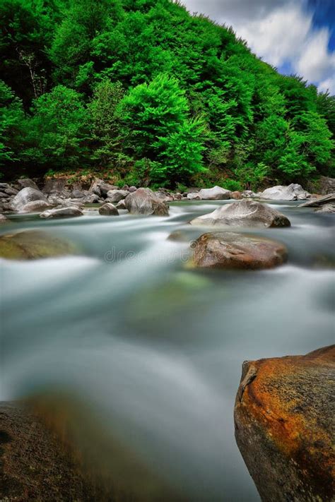 Beautiful Scenery Of River Flowing Downstream In A Forest Stock Image