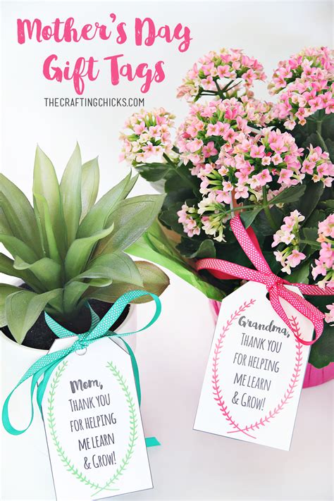 We've put together a list of unique gifts that will make her feel special. Mother's Day Plant Printable Gift Tags - The Crafting Chicks