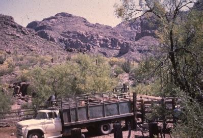 When you are driving south to organ pipe cactus national i'm not sure how dangerous this area actually is, but the unfriendly border patrol and the warning signage. The Desert Ranchers - Organ Pipe Cactus National Monument ...