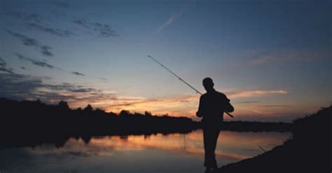 Check spelling or type a new query. 94 Arti Mimpi Mancing Ikan Piranha di Sungai Amazon ...