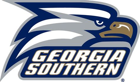 Georgia Southern University Eagles Primary Logo 2010 Pres A Head Of