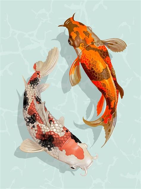 Deux Poissons Japonais Koi Nageant Koi Fish Drawing Koi Fish Tattoo