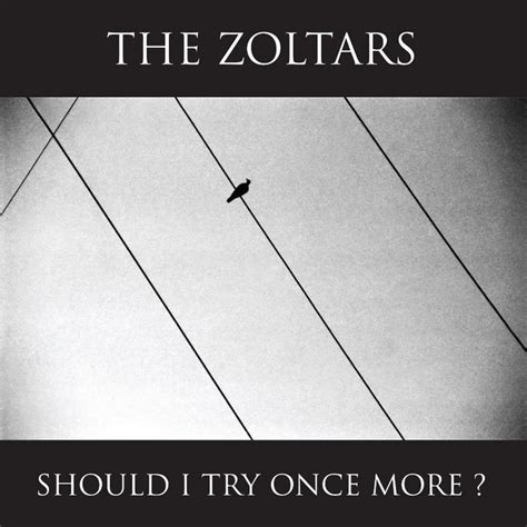 Should I Try Once More Song By The Zoltars Spotify