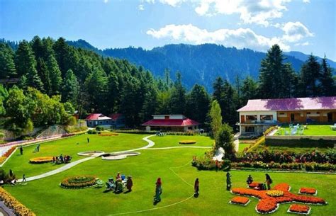 Discover The Top 5 Hotels For A Luxurious Stay In Shogran