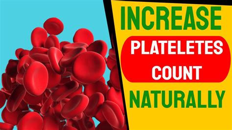 15 Foods That Increase Platelets Count Naturally Youtube
